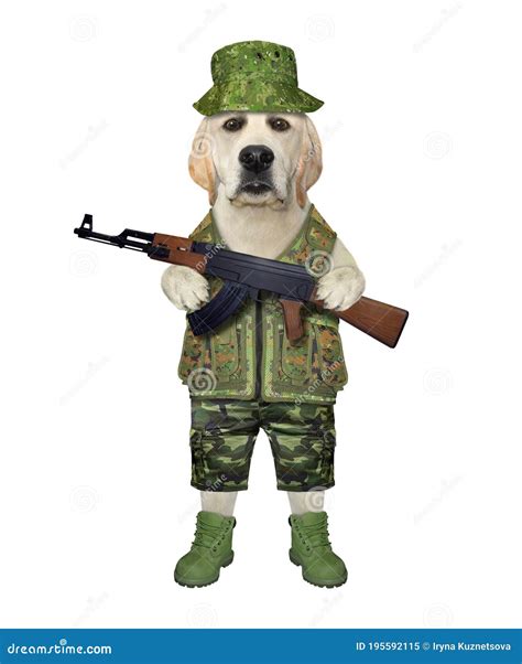 Dogs And Double Guns